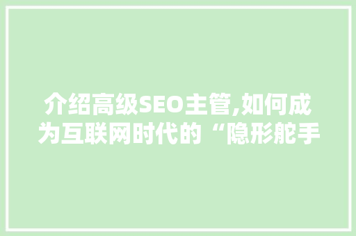 介绍高级SEO主管,如何成为互联网时代的“隐形舵手”
