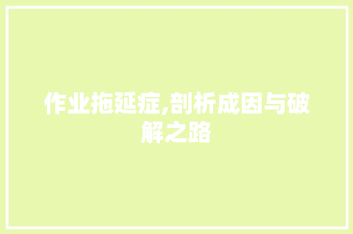 作业拖延症,剖析成因与破解之路