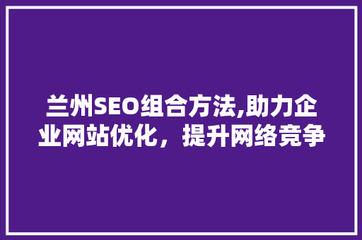 兰州SEO组合方法,助力企业网站优化，提升网络竞争力