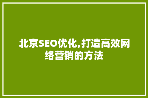 北京SEO优化,打造高效网络营销的方法