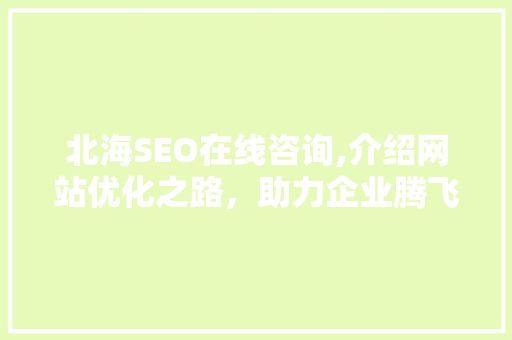 北海SEO在线咨询,介绍网站优化之路，助力企业腾飞