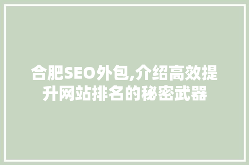 合肥SEO外包,介绍高效提升网站排名的秘密武器