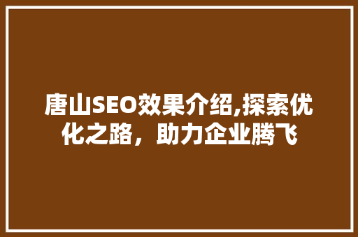 唐山SEO效果介绍,探索优化之路，助力企业腾飞