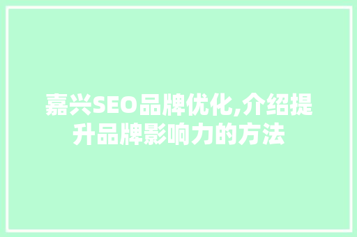 嘉兴SEO品牌优化,介绍提升品牌影响力的方法
