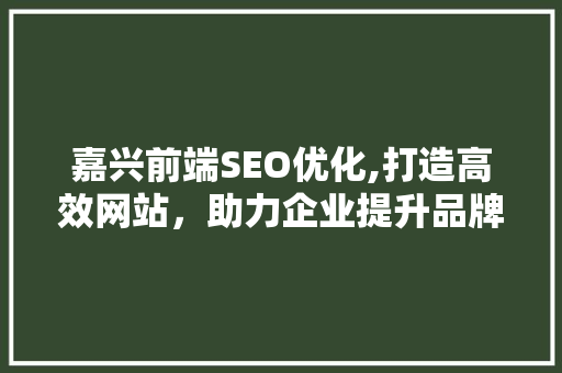 嘉兴前端SEO优化,打造高效网站，助力企业提升品牌影响力