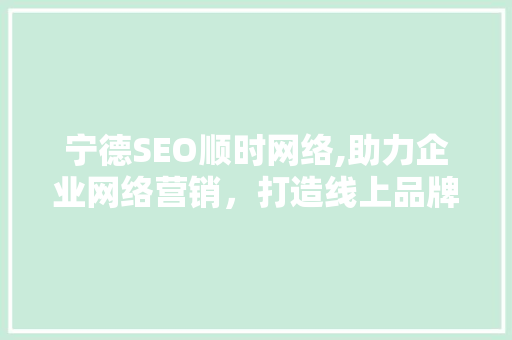 宁德SEO顺时网络,助力企业网络营销，打造线上品牌新高度