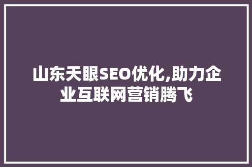 山东天眼SEO优化,助力企业互联网营销腾飞