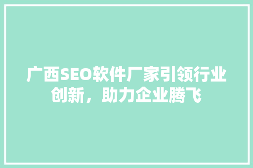 广西SEO软件厂家引领行业创新，助力企业腾飞