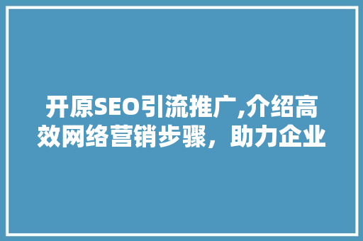 开原SEO引流推广,介绍高效网络营销步骤，助力企业突破地域局限