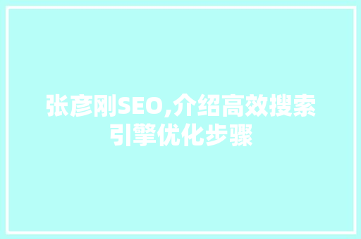 张彦刚SEO,介绍高效搜索引擎优化步骤