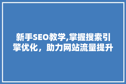 新手SEO教学,掌握搜索引擎优化，助力网站流量提升  第1张
