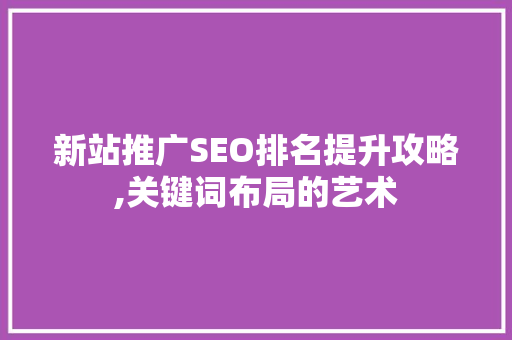 新站推广SEO排名提升攻略,关键词布局的艺术