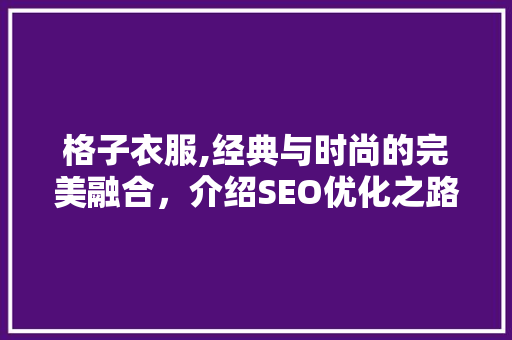 格子衣服,经典与时尚的完美融合，介绍SEO优化之路