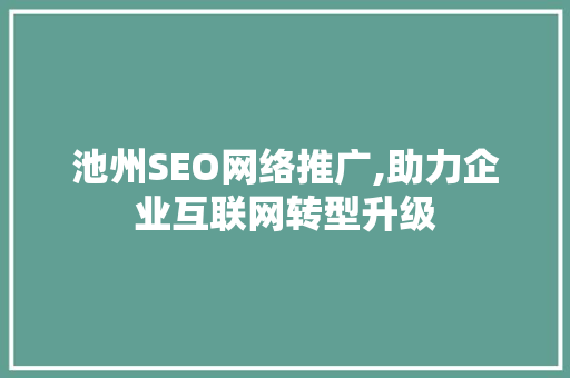 池州SEO网络推广,助力企业互联网转型升级