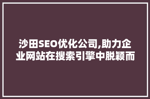 沙田SEO优化公司,助力企业网站在搜索引擎中脱颖而出