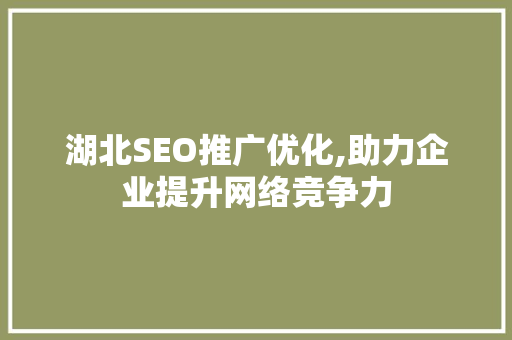 湖北SEO推广优化,助力企业提升网络竞争力
