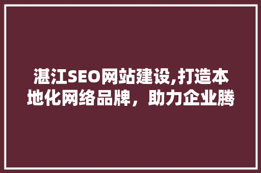 湛江SEO网站建设,打造本地化网络品牌，助力企业腾飞  第1张