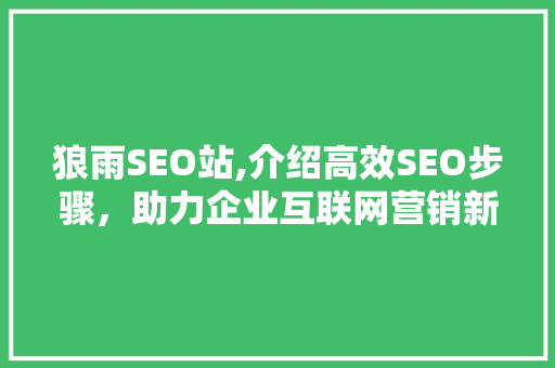 狼雨SEO站,介绍高效SEO步骤，助力企业互联网营销新篇章