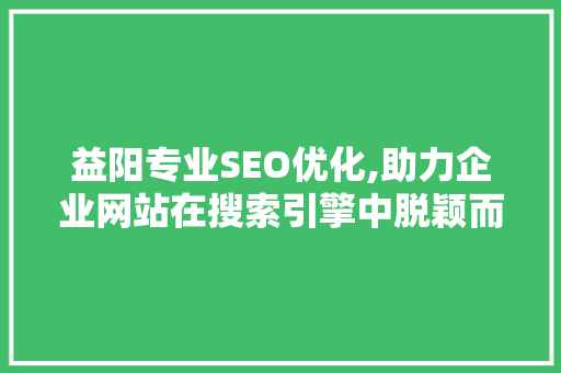 益阳专业SEO优化,助力企业网站在搜索引擎中脱颖而出