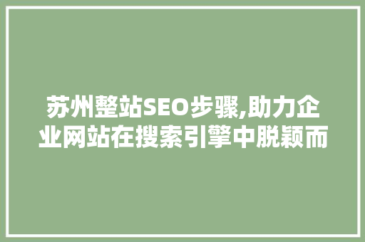 苏州整站SEO步骤,助力企业网站在搜索引擎中脱颖而出