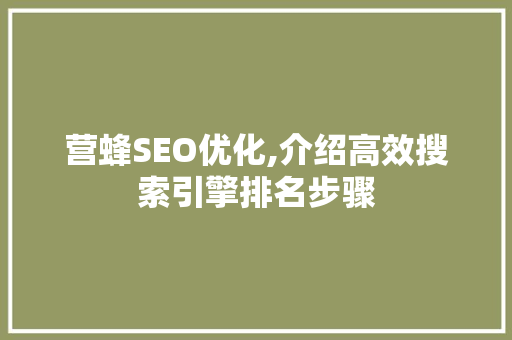 营蜂SEO优化,介绍高效搜索引擎排名步骤