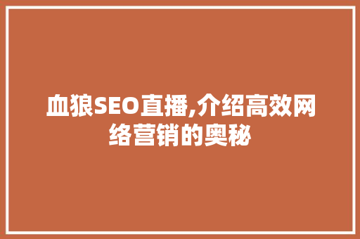 血狼SEO直播,介绍高效网络营销的奥秘