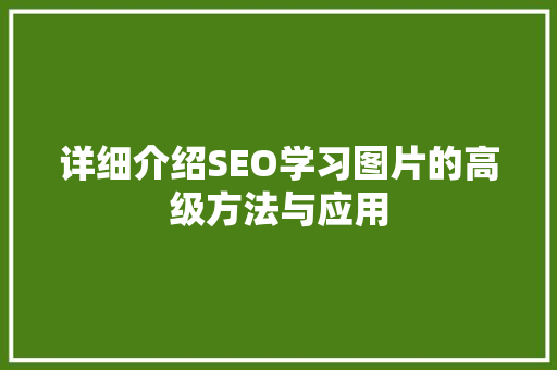详细介绍SEO学习图片的高级方法与应用