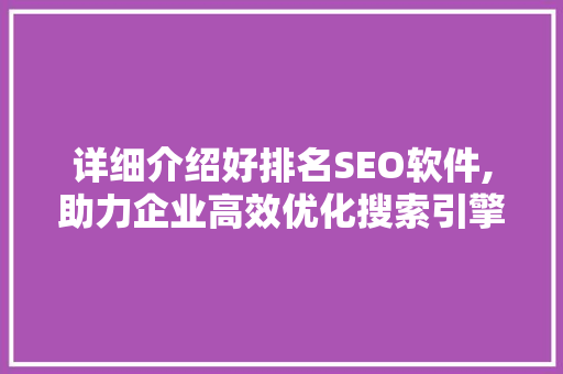 详细介绍好排名SEO软件,助力企业高效优化搜索引擎排名