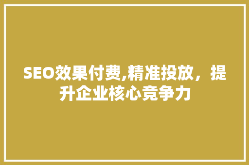 SEO效果付费,精准投放，提升企业核心竞争力