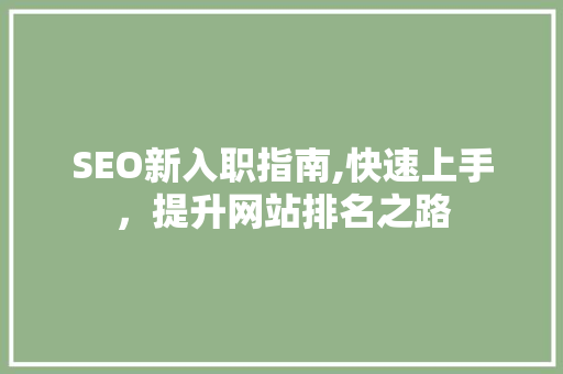 SEO新入职指南,快速上手，提升网站排名之路