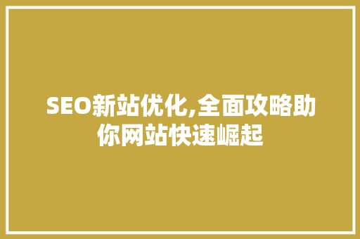 SEO新站优化,全面攻略助你网站快速崛起