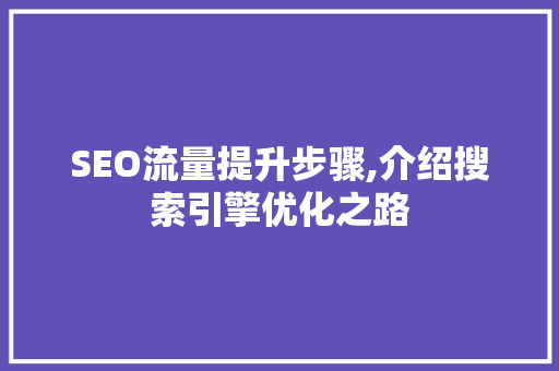 SEO流量提升步骤,介绍搜索引擎优化之路