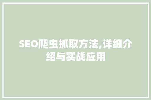 SEO爬虫抓取方法,详细介绍与实战应用