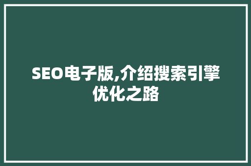 SEO电子版,介绍搜索引擎优化之路