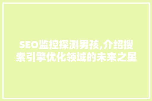 SEO监控探测男孩,介绍搜索引擎优化领域的未来之星