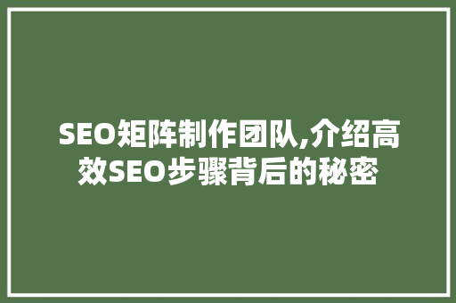 SEO矩阵制作团队,介绍高效SEO步骤背后的秘密
