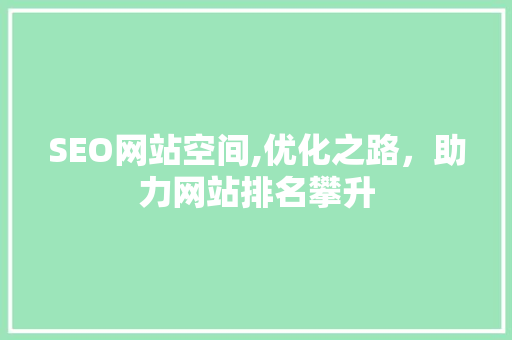 SEO网站空间,优化之路，助力网站排名攀升