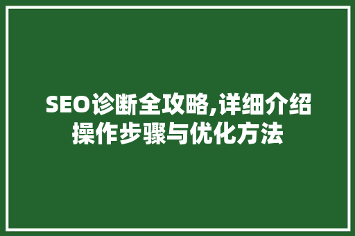 SEO诊断全攻略,详细介绍操作步骤与优化方法