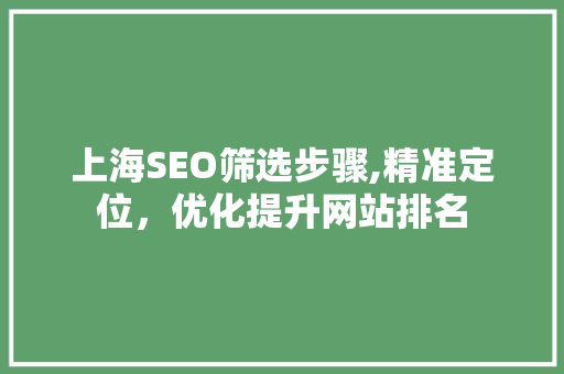 上海SEO筛选步骤,精准定位，优化提升网站排名