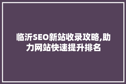 临沂SEO新站收录攻略,助力网站快速提升排名