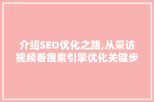介绍SEO优化之路,从采访视频看搜索引擎优化关键步骤