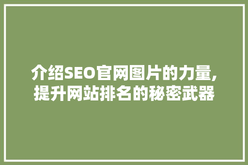 介绍SEO官网图片的力量,提升网站排名的秘密武器