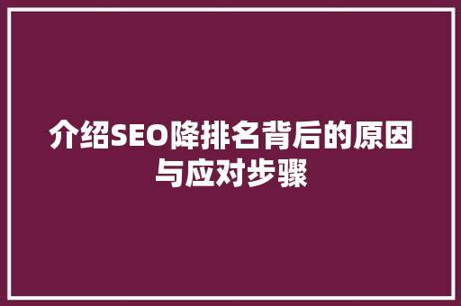 介绍SEO降排名背后的原因与应对步骤