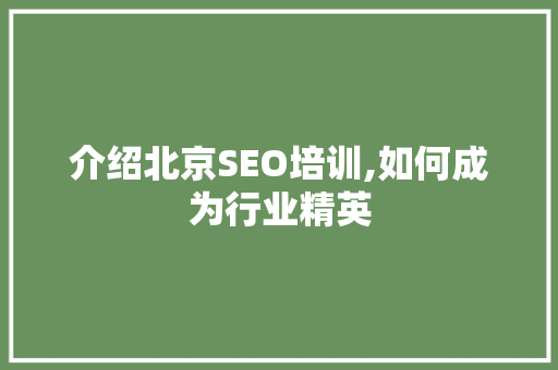 介绍北京SEO培训,如何成为行业精英