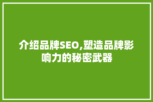介绍品牌SEO,塑造品牌影响力的秘密武器