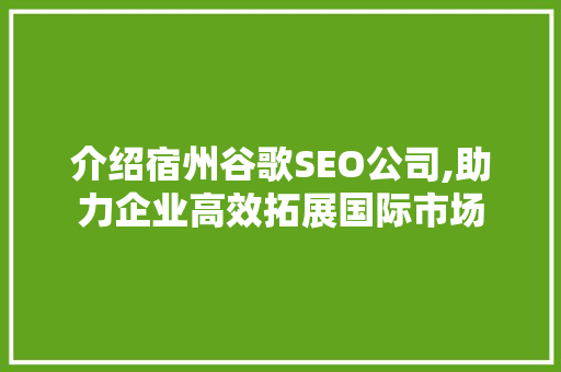 介绍宿州谷歌SEO公司,助力企业高效拓展国际市场