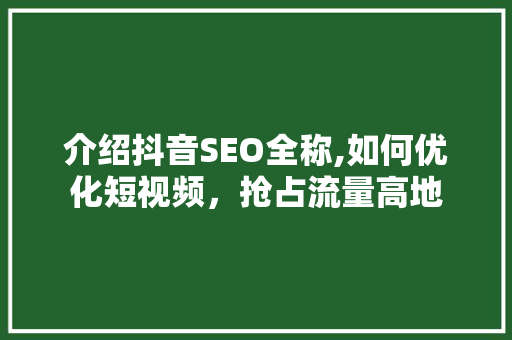 介绍抖音SEO全称,如何优化短视频，抢占流量高地