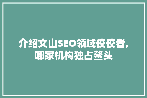 介绍文山SEO领域佼佼者,哪家机构独占鳌头