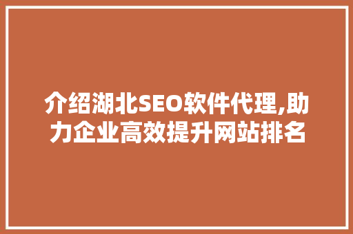 介绍湖北SEO软件代理,助力企业高效提升网站排名