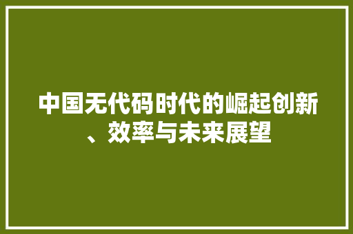 中国无代码时代的崛起创新、效率与未来展望